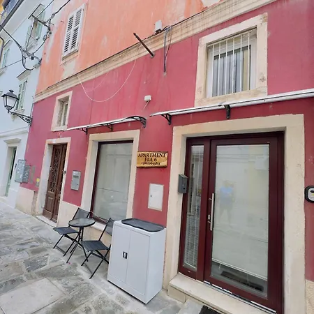 Ela 6 Piran