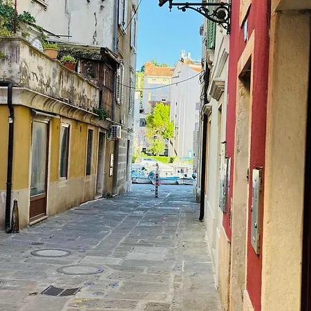 Ela 6 Piran